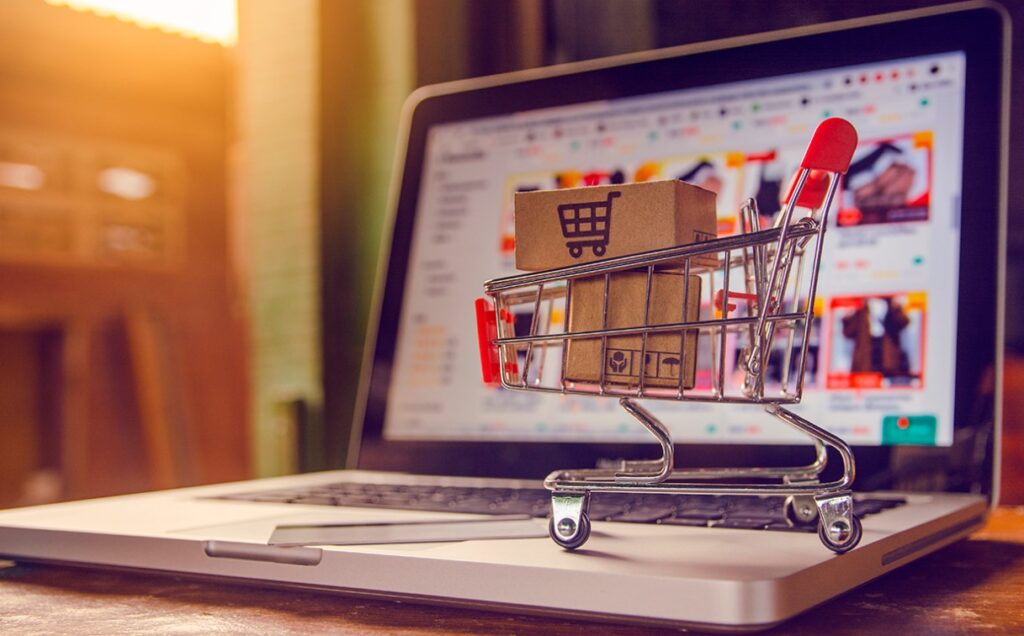 learn and earn profits online with ecommerce