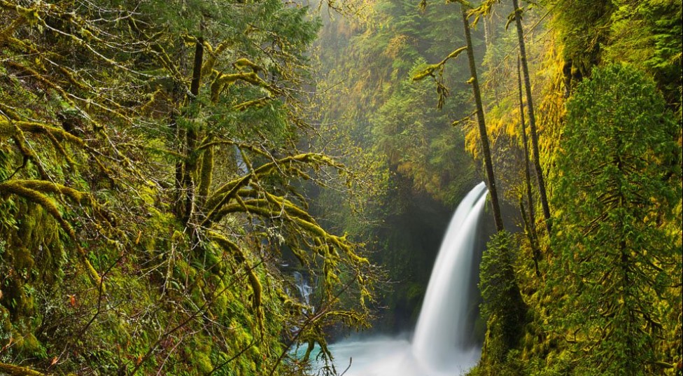 Make Money with Nature Photography