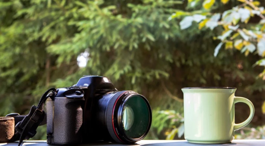 Make Money with Nature Photography
