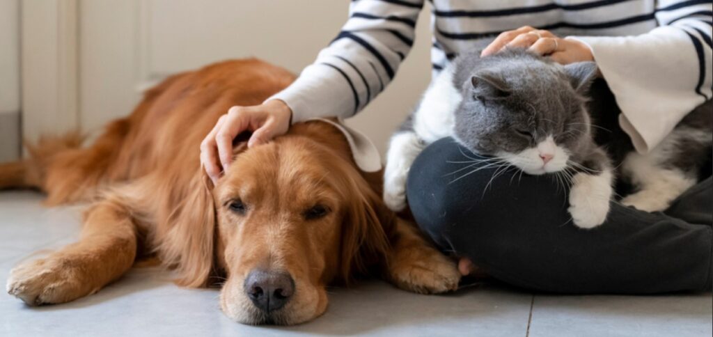 make money pet sitting 
