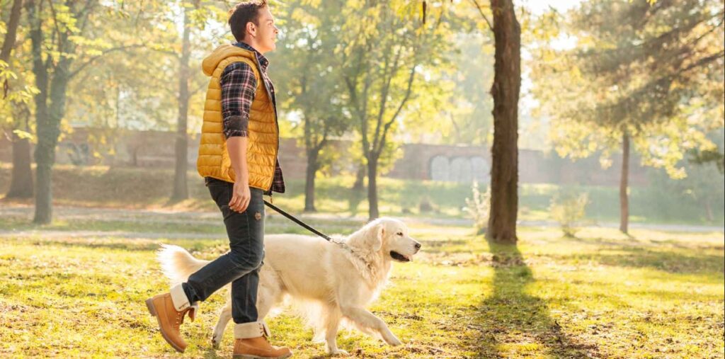 a man alone walking with a dog | make money pet sitting